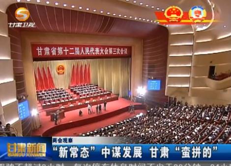 两会观察 “新常态”中谋发展 甘肃“蛮拼的”