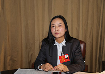代表心声(一 王鑫 王红梅 何玫瑰 张振锋 刘宕琴 马菊英 牟小娟 丁文