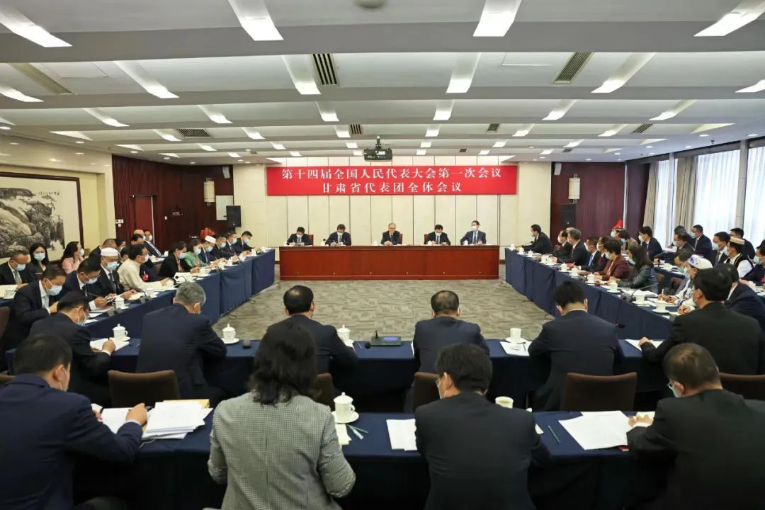 十四届全国人大一次会议甘肃代表团开始审议政府工作报告